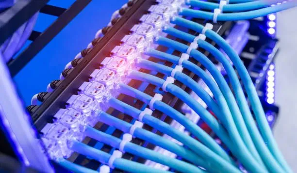 Blue structured cabling connected to a patch panel